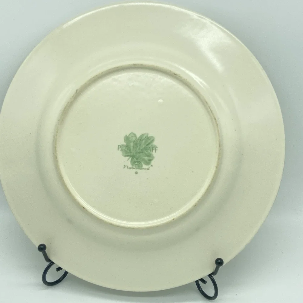 Portfolio Pfaltzgraff Naturewood Dinner Plates 11